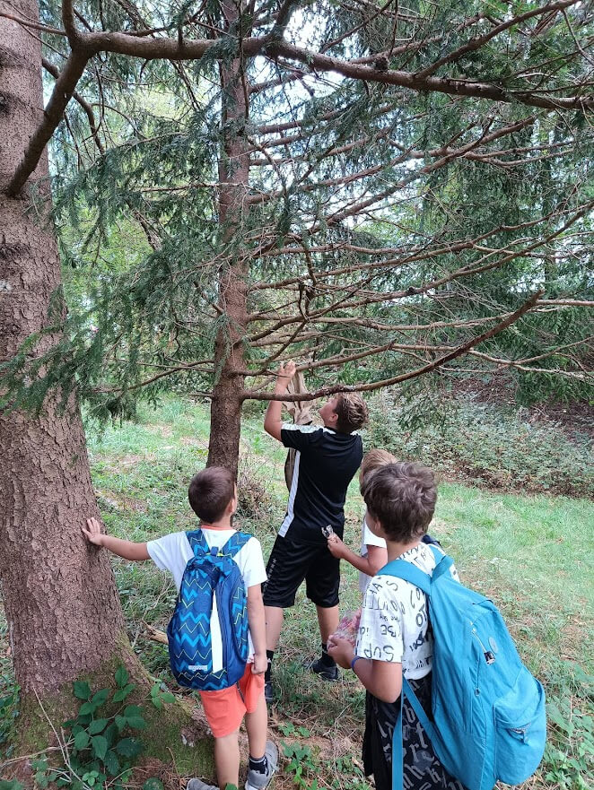 Due bambini si arrampicano su un albero durante un'attivita' guidata nel bosco osservati dai compagni.