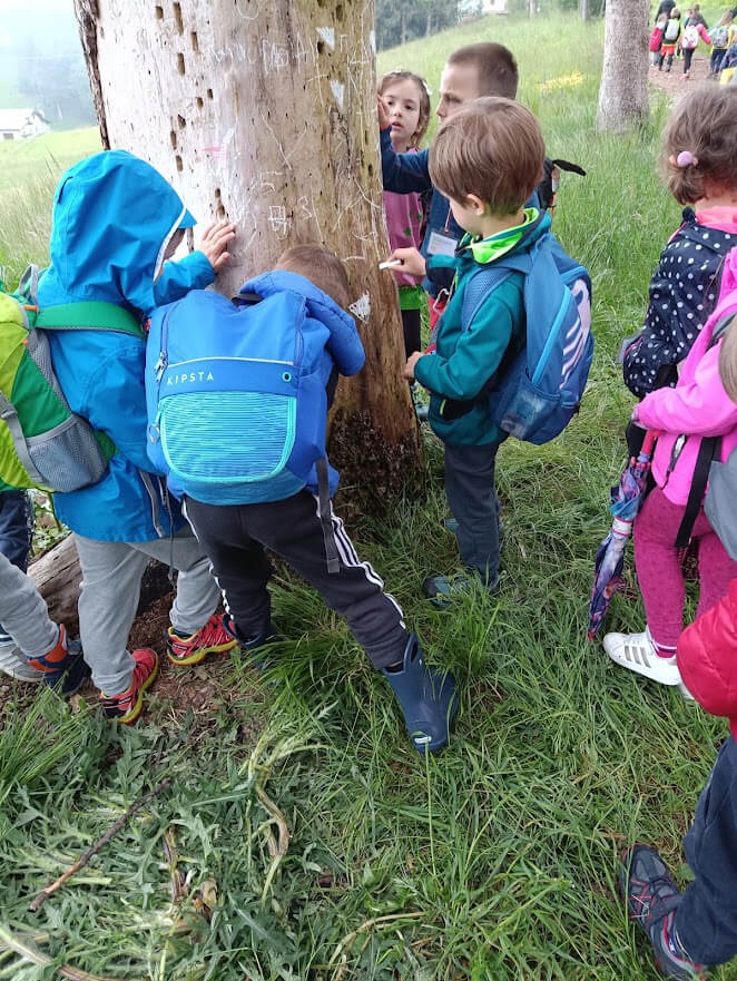 Bambini durante un'attivita' didattica attorno a un grande albero mentre osservano e toccano il paesaggio naturale.