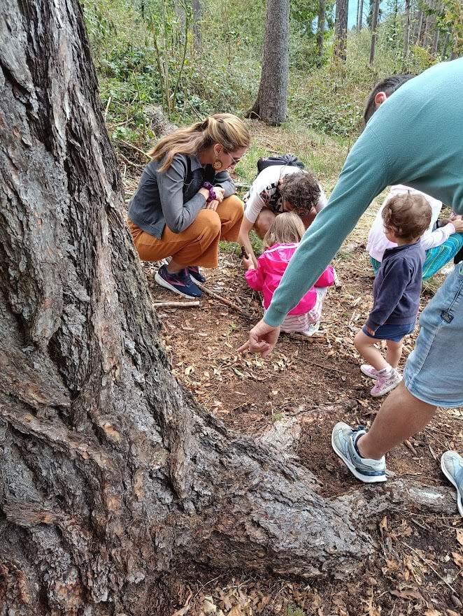 Adulti e bambini piccoli esplorano insieme il terreno del bosco in un momento guidato di scoperta.