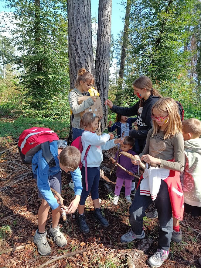 Gruppo di bambini nel bosco impegnato a raccogliere rami e materiali naturali durante un'attivita' guidata.