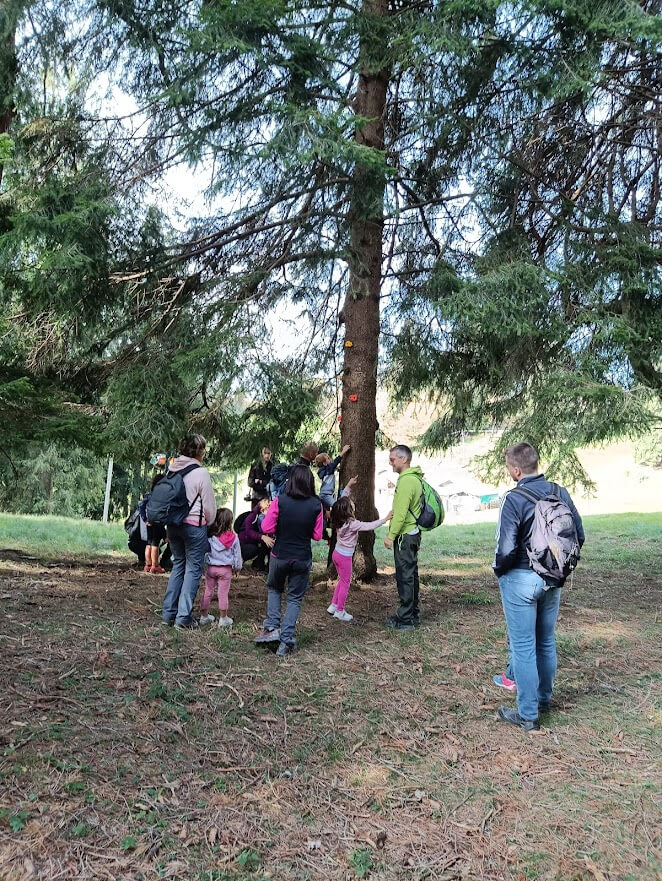 Gruppo riunito attorno a un grande albero durante un momento di spiegazione condivisa nel bosco.